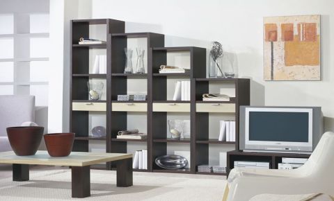 Mueble de salón con estanterías